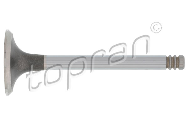 Впускной клапан