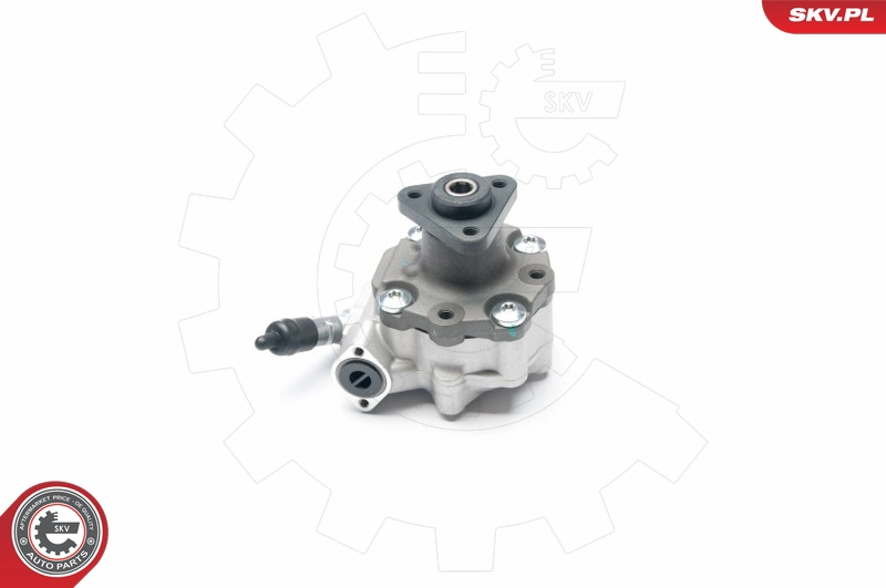 ESEN SKV 10SKV187 - Насос ГУР