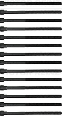 VICTOR REINZ 14-12261-03 - Болты ГБЦ