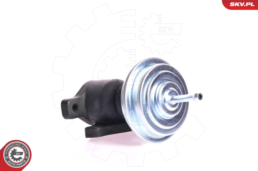 ESEN SKV 14SKV005 - Клапан ЕГР