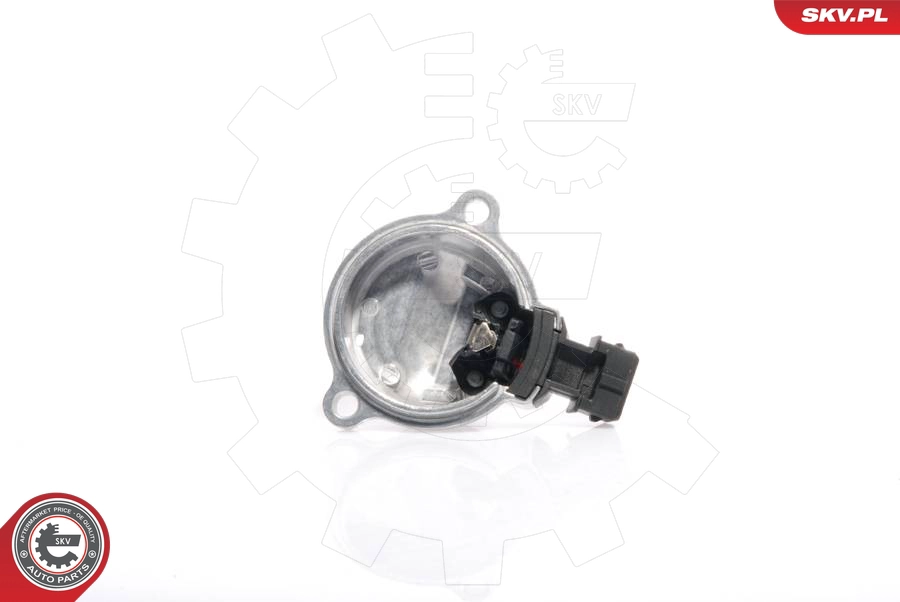 ESEN SKV 17SKV200 - Датчик давления воздуха