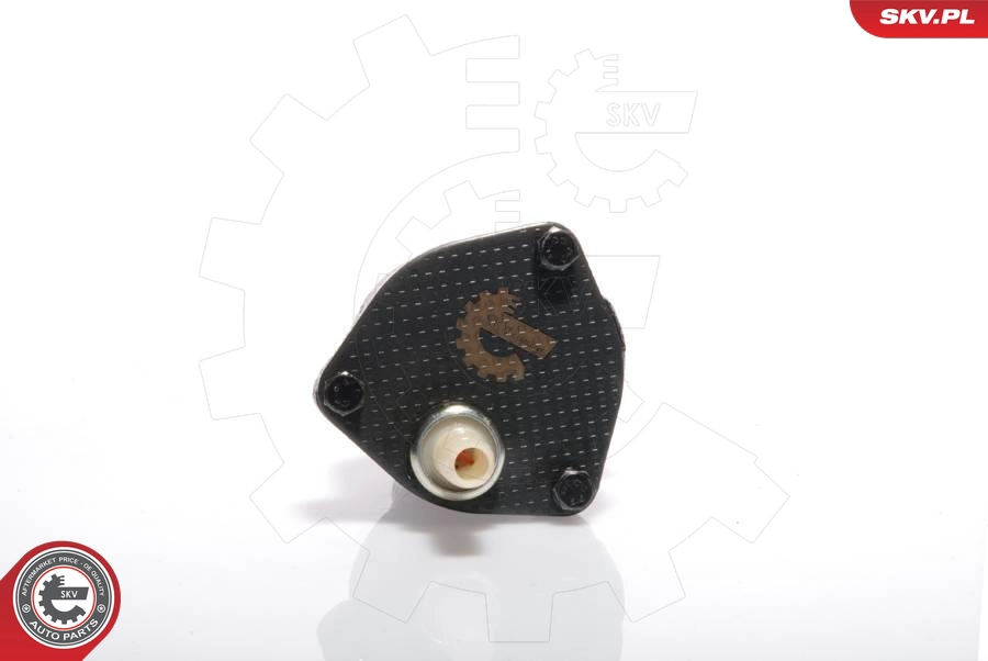 ESEN SKV 18SKV001 - Вакуумный насос 