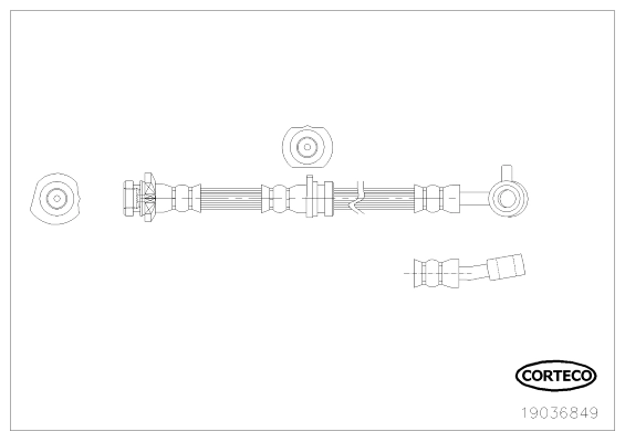 CORTECO 19036849 - Тормозные шланги