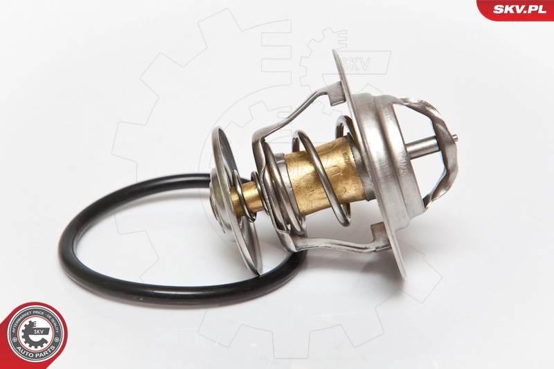 ESEN SKV 20SKV003 - Термостат