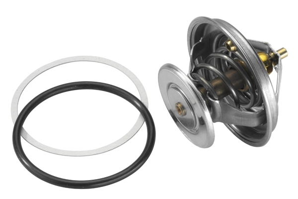 WAHLER 4150.83D50 - Термостат