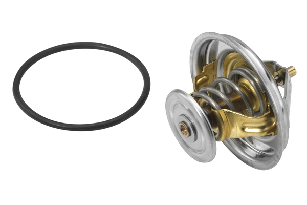 WAHLER 4235.80D - Термостат