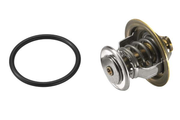 WAHLER 4255.87D - Термостат