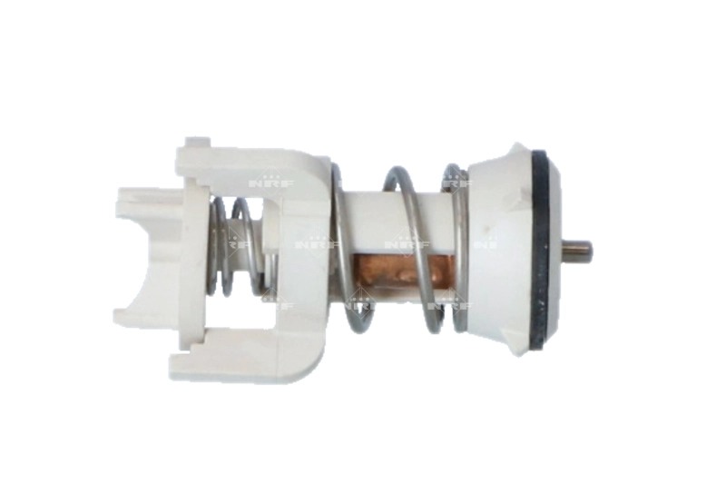 NRF 725095 - Термостат