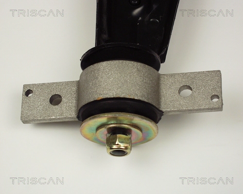 TRISCAN 8500 12503 - Рычаг