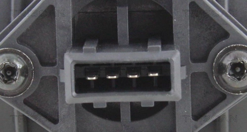 TRISCAN 8812 24058 - Расходомер воздуха