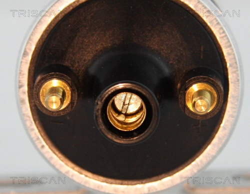 TRISCAN 8860 15029 - Катушка зажигания