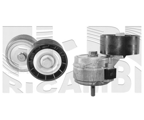 Натяжитель ремня генератора