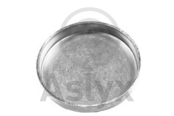 ASLYX AS-200858 - Заглушка блока цилиндров