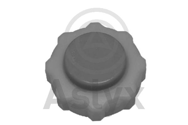 Крышка радиатора (расширительного бачка)