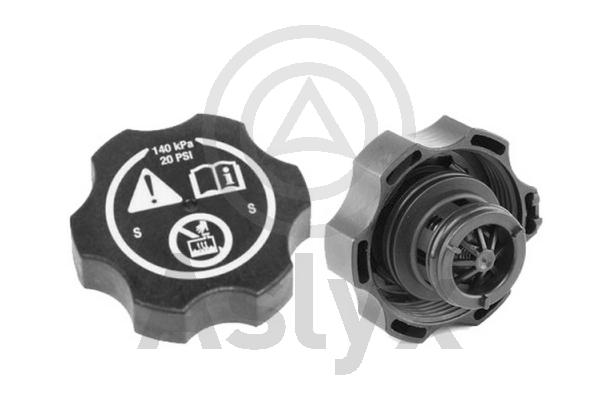 Крышка радиатора (расширительного бачка)