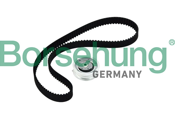 BORSEHUNG B10219 - Комплект ГРМ