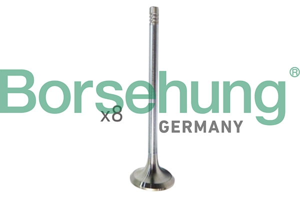 Впускной клапан