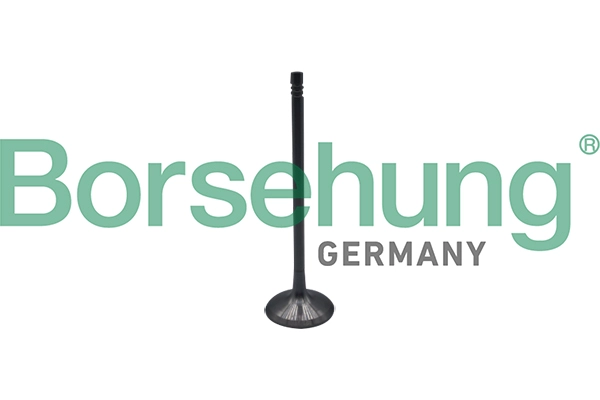 Впускной клапан