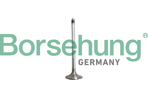 Впускной клапан