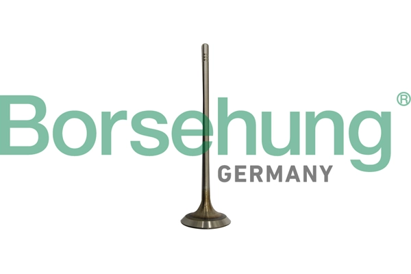 Впускной клапан