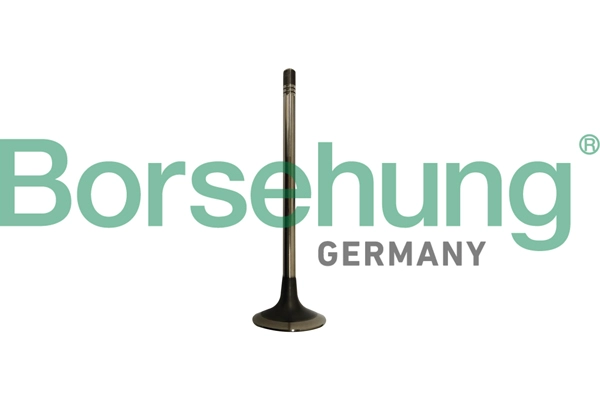 Выпускной клапан