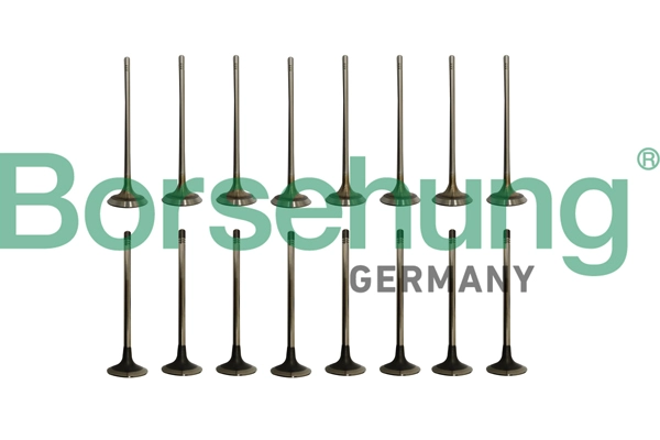 Комплект клапанов