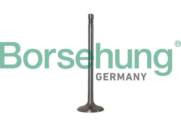 BORSEHUNG B10347 - Поршневые кольца