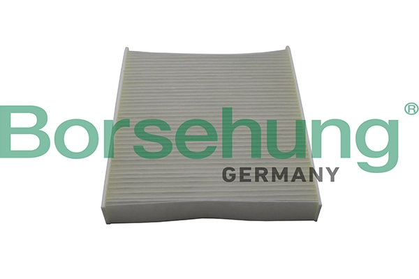 BORSEHUNG B10514 - Салонный фильтр