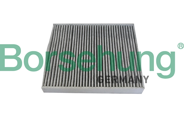 BORSEHUNG B10534 - Салонный фильтр