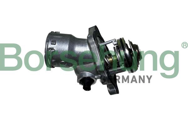 BORSEHUNG B10556 - Термостат