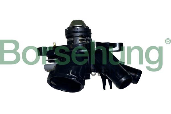 BORSEHUNG B10557 - Термостат