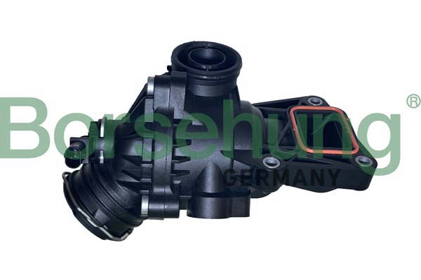 BORSEHUNG B10559 - Термостат