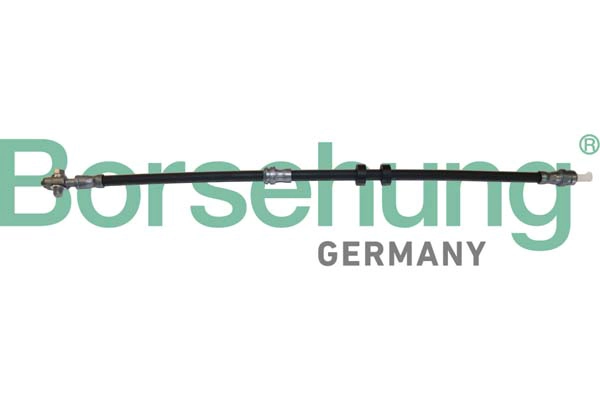 BORSEHUNG B10948 - Тормозные шланги