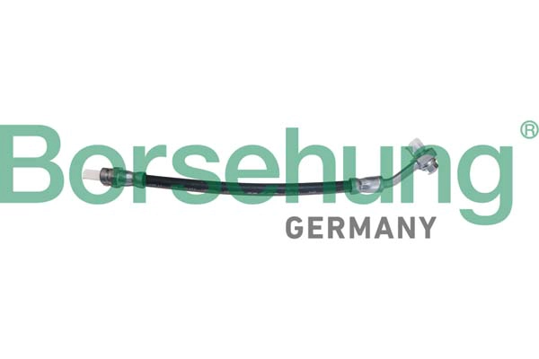 BORSEHUNG B10949 - Тормозные шланги