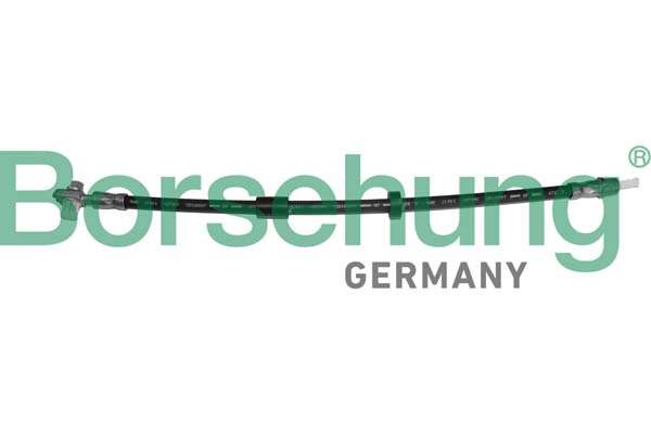 BORSEHUNG B10954 - Тормозные шланги