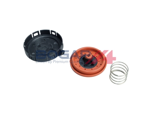 BOGAP B1116100 - Клапан, отвода воздуха из картера BOGAP Premium