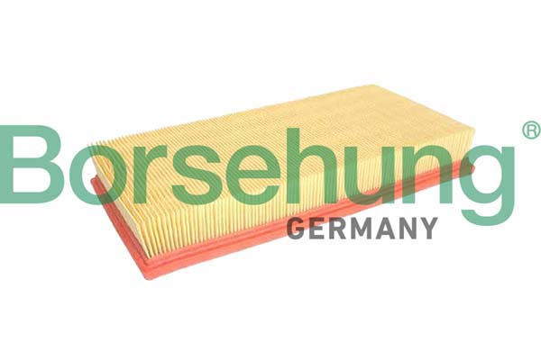 BORSEHUNG B12366 - Воздушный фильтр