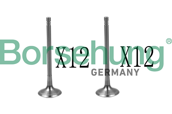 Комплект клапанов