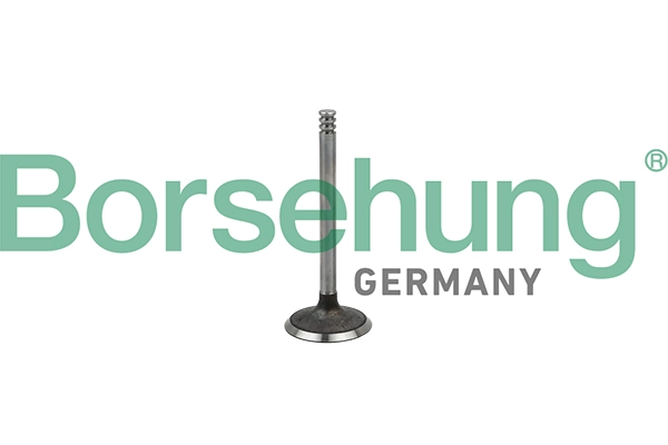 Впускной клапан