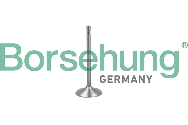 Впускной клапан