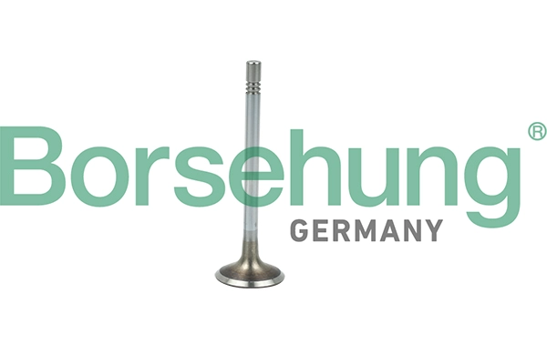 Впускной клапан