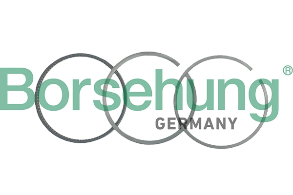 Поршневые кольца