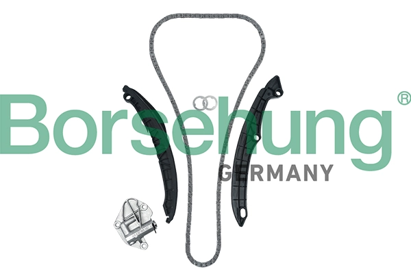 BORSEHUNG B19229 - Комплект цепи ГРМ