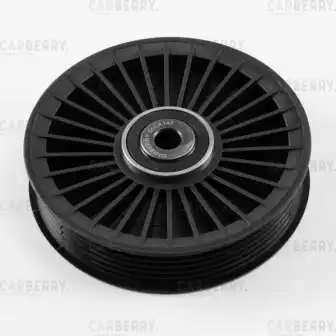 CARBERRY 55ca142 - Ролик обводной поликлин.ремня