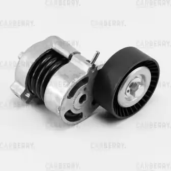 CARBERRY 55ca159 - ролик натяжной приводного ремня