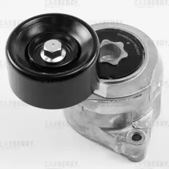CARBERRY 55ca217 - Ролик натяжной приводного ремня