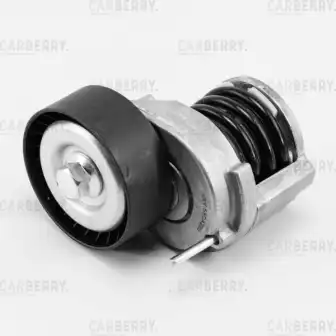 CARBERRY 55ca220 - ролик натяжной приводного ремня