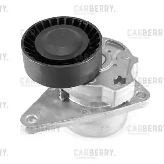 CARBERRY 55ca296 - 55CA296 Натяжитель поликлин.ремня с роликом