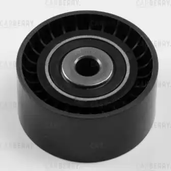 CARBERRY 55ca316 - Ролик обводной ремня ГРМ