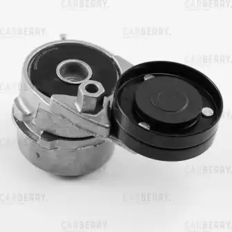 CARBERRY 55ca359 - Натяжитель поликлин.ремня с роликом
